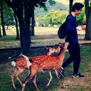 Meet your Posher, Alan